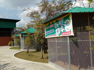 ภาพสินค้า 3 ตะแกรงตัวหนอน wire netting ภาพที่ 7_0